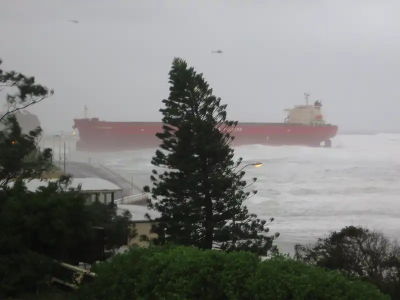 Pasha Bulker with tree in forground